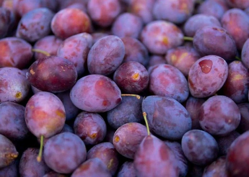 Jakie są zalety śliwek